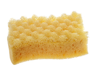 Yellow sponge isolated
