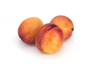 Nectarines on a white background