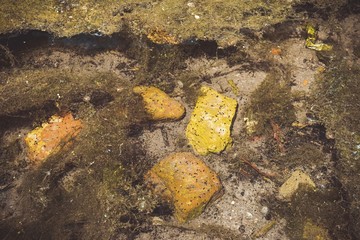 Old red brick and garbage in clear creek water. Water pollution concept.