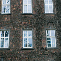 Black and the white image of windows on a wall of an old building