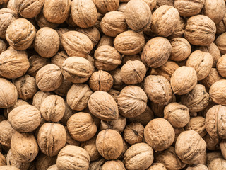 Walnuts. Food background.