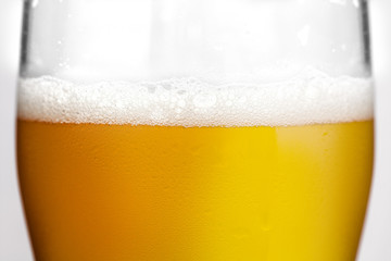 Foam and bubbles of beer