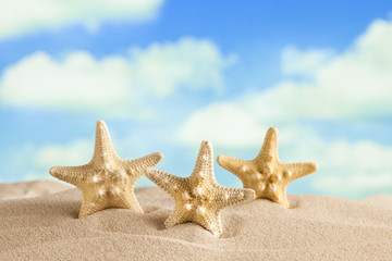 Fototapeta na wymiar Starfishes on beach sand and blue sky in background