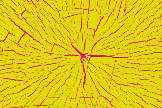 Texture of the wood cross-cut, core tree cutting