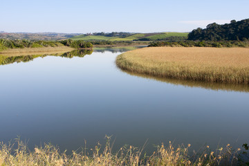 Peaceful reflections in a very calm lagoon south of Durban in South Africa.