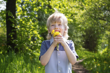 Cute blonde boy with dandelions outdoors