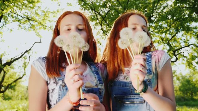 Funny redheaded twin girls teenagers play with dandelion flowers, blow off seeds. 180 fps slow motion video