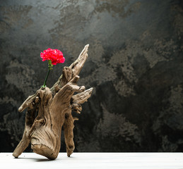 Fresh flowers in a wooden rustic snag