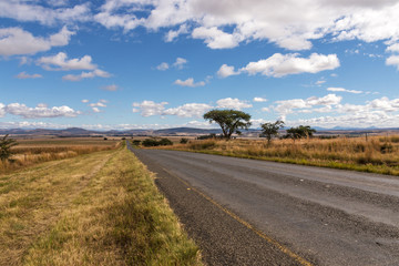 Asphalt Road Running Through Dry Orange Winter Mountain Landscape