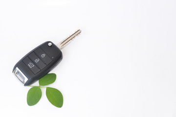 green leaf with car  key 
