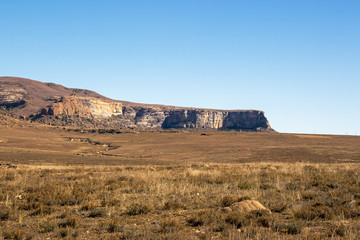 Golden Cold Dry Winter Landscape and Rocky Mountain