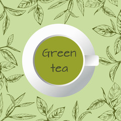 Naklejki  vector background with tea logo, hand-drawn leaves and branches of tea
