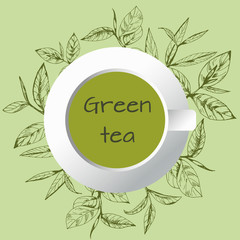 vector background with tea logo, hand-drawn leaves and branches of tea