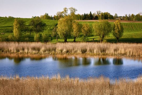 Spring time, Poland around the town of Sztum - Panorama
