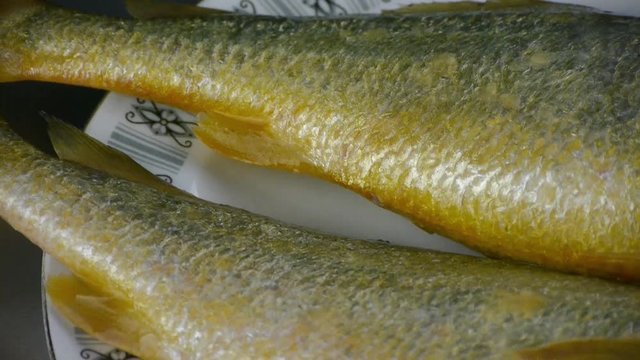 Delicious Croaker fish within dial plate.fisheries.