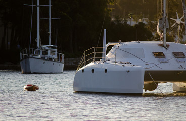White sailing boats sitting in harbour at dusk