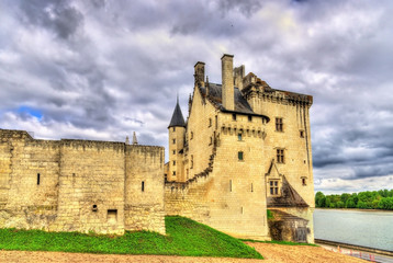 Fototapeta na wymiar Chateau de Montsoreau on the bank of the Loire in France
