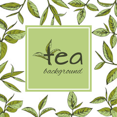 vector background with tea logo, hand-drawn leaves and branches of tea