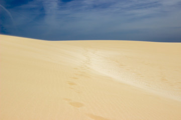 Fototapeta na wymiar Spuren in der Wüste