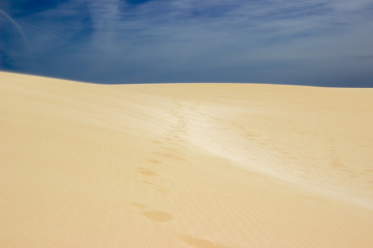 Spuren in der Wüste