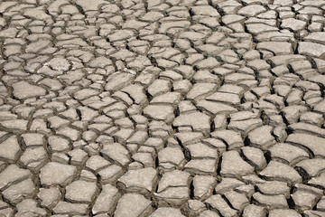 dry cracked earth