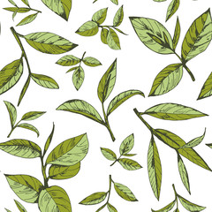 seamless pattern with green tea, hand-drawn leaves and branches of tea - 155010166