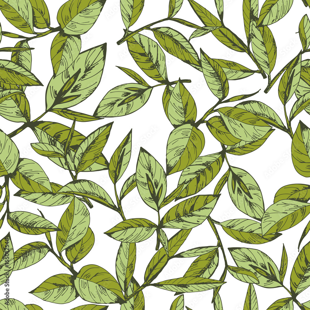 Wall mural seamless pattern with green tea, hand-drawn leaves and branches of tea