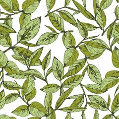 seamless pattern with green tea, hand-drawn leaves and branches of tea - 155012548
