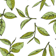 seamless pattern with green tea, hand-drawn leaves and branches of tea - 155012781