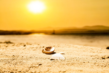 sunset time and beach 