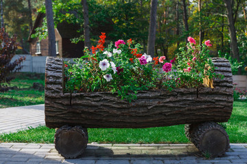Outdoor landscape design - garden bed with flowers