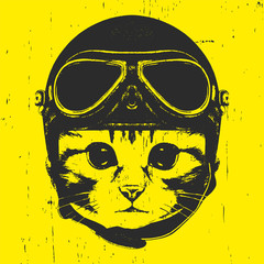 Portrait of Kitty with Vintage Helmet. Vector