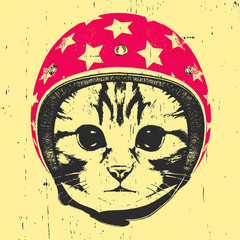 Portrait of Kitty with Helmet. Vector