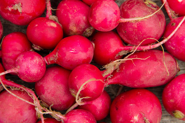 Fresh healthy red raddisch closeup