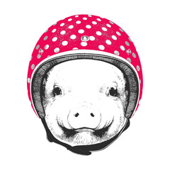Portrait of Piggy with Helmet. Vector