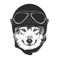 Portrait of Wolf with Helmet. Vector