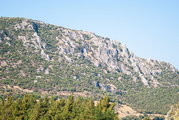 Mountain with plants, sunny day