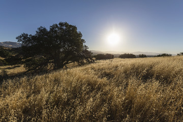 Morning view at Santa Susana State Historic Park in the San Fernando Valley area of Los Angeles, California.  