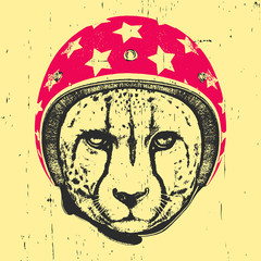 Portrait of Cheetah with Helmet. Vector