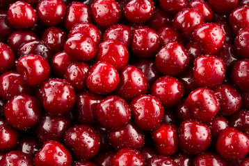 Cherry. Fresh wet organic cherry berries with drops. Fruit background