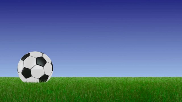 Soccer ball on the grass. 3D render.