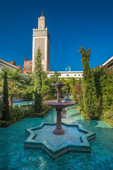 Naklejka premium Grand Mosque of Paris