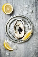 Opened oyster with black sturgeon caviar and lemon on ice in metal plate on grey concrete...