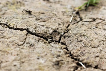 An image of soil erosion