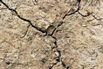 An image of soil erosion