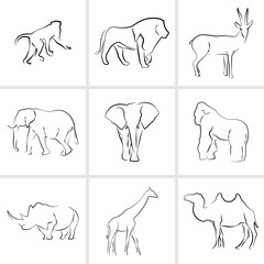 International day for biological diversity vector illustration. Set of different african animals.