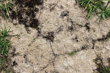 An image of soil erosion