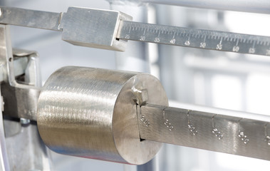 Scale for livestock measuring