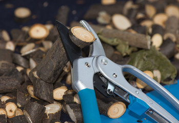 Scissors for pruning branches
