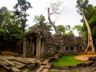 Ta Prohm Castle, Angkor Wat, Cambodia.